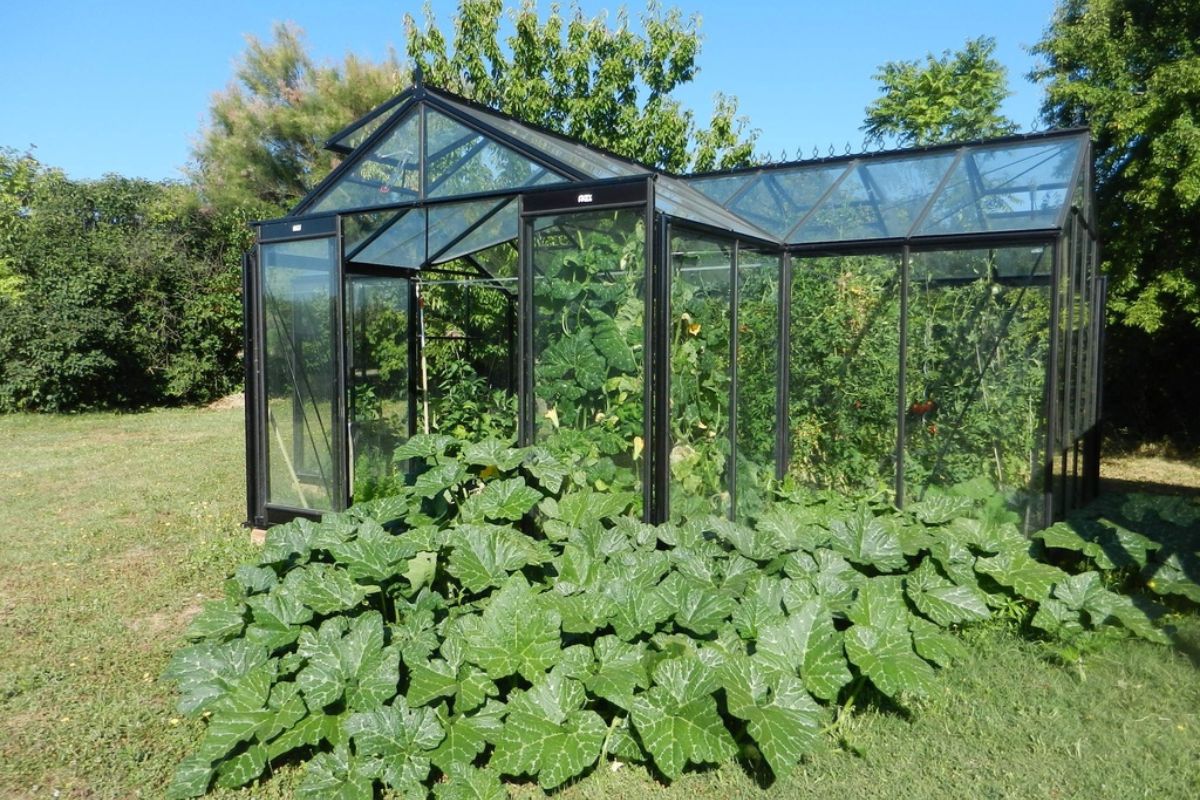 ACD Premium Greenhouse Living Room Sophie – T Shape – 20ft x 15ft